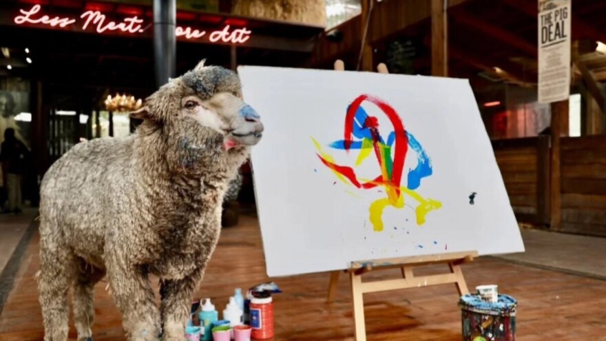 Za nestalu ovcu umjetnicu nude nagradu od 62.000 eura