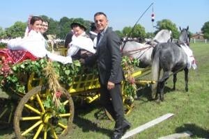 Konji bijelci to su Babogredci