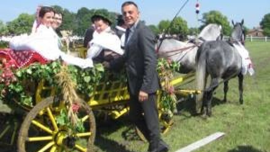 Konji bijelci to su Babogredci