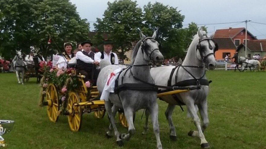 Najljepša sikirevačka svatovska zaprega