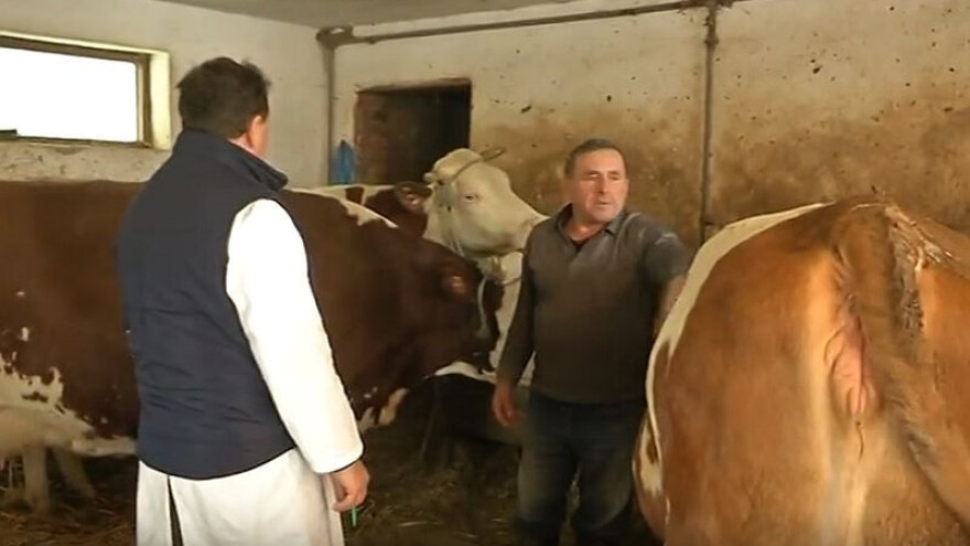 Zima im nije problem, cijena mlijeka je!