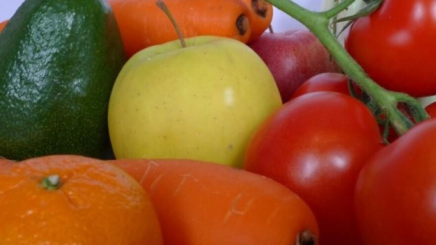 Biogal - predavanje o zaštiti bilja u uzgoju povrća i cvijeća