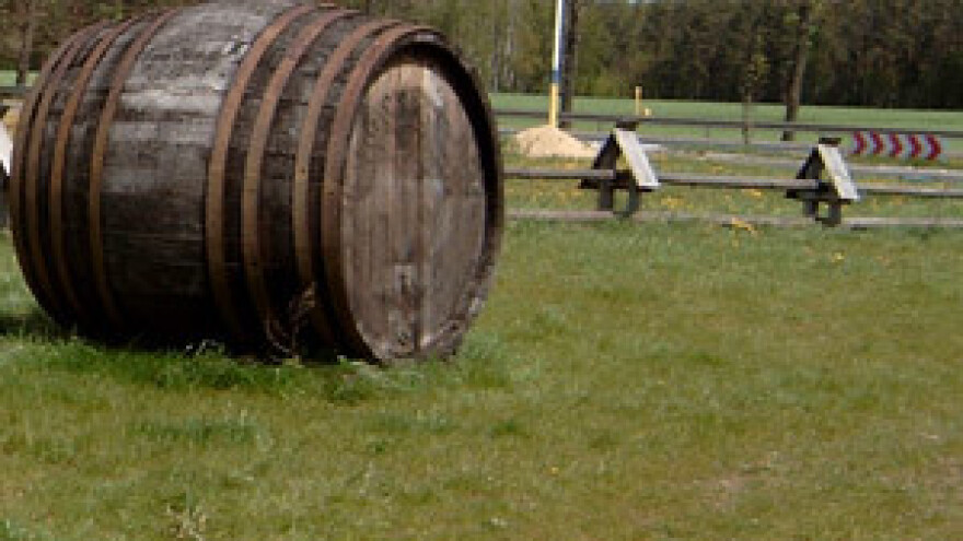 Uoči privatizacije "Dalmacijavino"