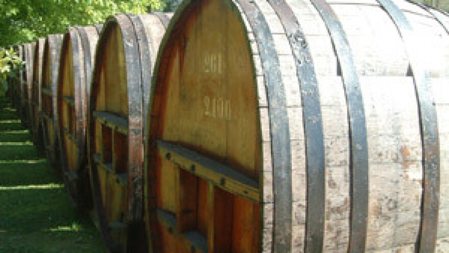 Kalazićev Traminac šampion u Beogradu