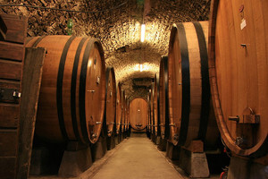 Konfederacija projekta WINE-DEV