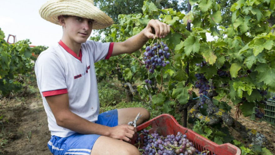 Od 500 vjerovnika traži se otpis 300 milijuna kuna