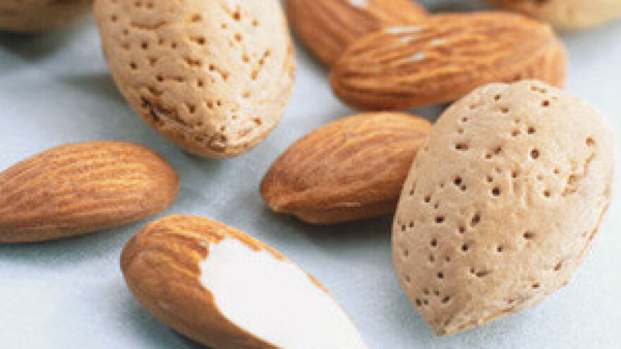 Na spaljenoj zemlji podigli nove trajne nasade