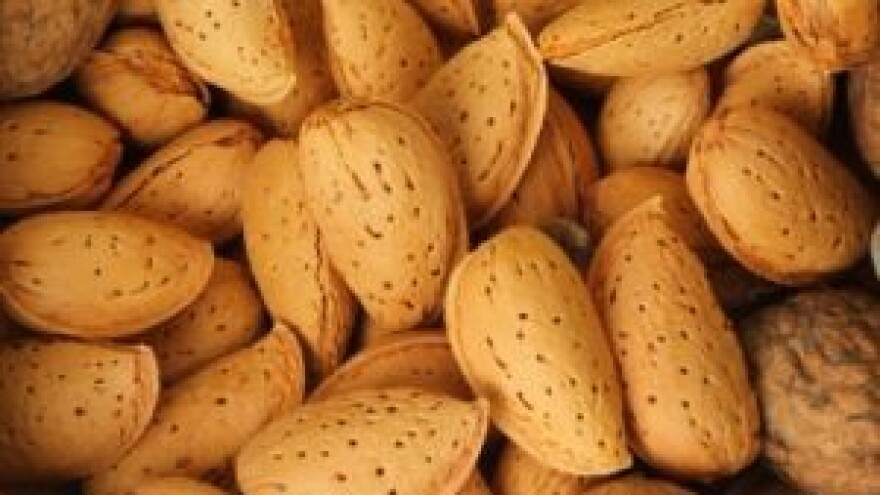 Zaštitite nasade koštićavog voća