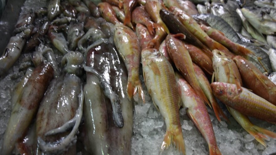 Blagdanska prepucavanja: Mesari optužuju prodavače na ribarnici