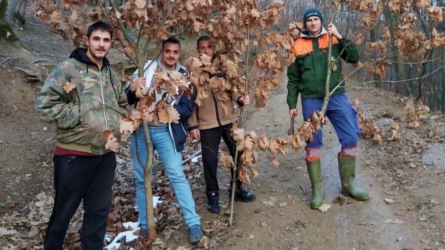 Mora li se po badnjak ići u zoru i zašto se kravajče daje stoci?