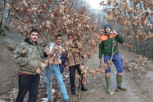 Mora li se po badnjak ići u zoru i zašto se kravajče daje stoci?