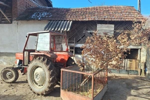 Zrno kukuruza za rodnu godinu, a zašto se muška košulja stavlja na badnjak?