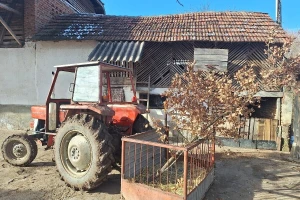 Zrno kukuruza za rodnu godinu, a zašto se muška košulja stavlja na badnjak?