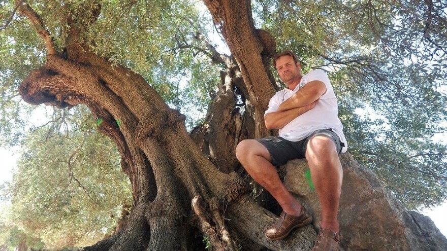 Želimir Badurina: Ulje od divljih lunjskih maslina ima milijun fenola