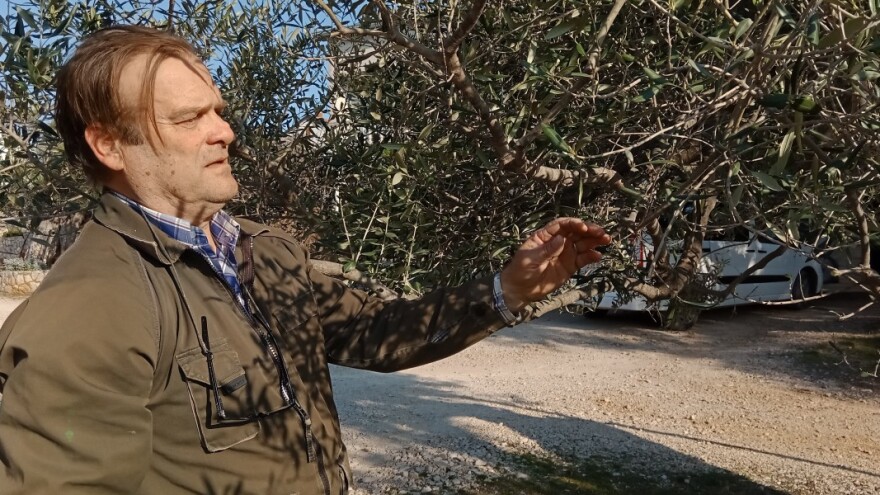 Maslinarska zadruga i 85 lunjskih obitelji tužili Grad Novalju i Republiku Hrvatsku