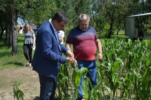 Proglašena prva elementarna nepogoda: tuča uništila kukuruz, uljanu repicu, pšenicu, lješnjake, jabuke, maline, krumpir