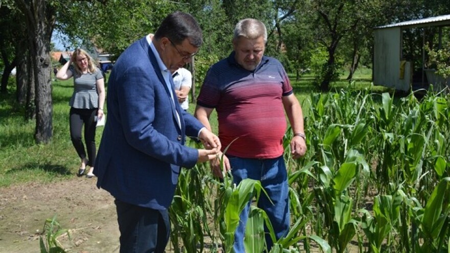 Proglašena prva elementarna nepogoda: tuča uništila kukuruz, uljanu repicu, pšenicu, lješnjake, jabuke, maline, krumpir