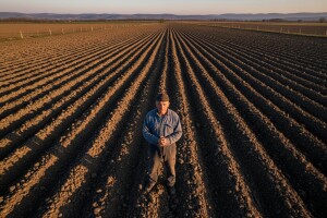 Bajs: Zaustavljanje prodaje i zakupa zemljišta je štetno i nezakonito