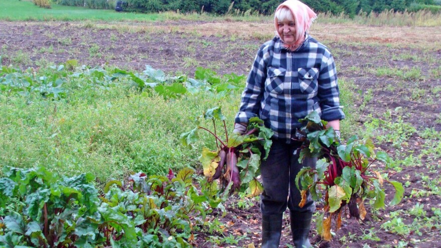 Za svjež dah, lijep ten i rumene obraze, a čak i lišće je jestivo!