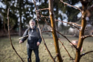 Zašto se bakar koristi samo do otvaranja pupova i čemu služi mineralno ulje?