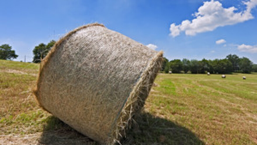 Novcem EU-a do razvoja hrvatskog sela