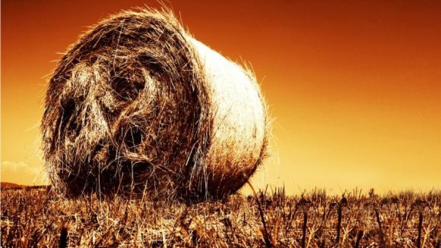 4. krug SAPARD programa