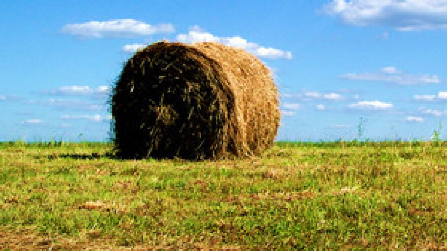 Prosječno poljoprivredno gospodarstvo koristi 5,7 hektara