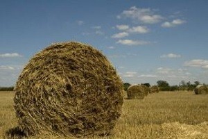 Međunarodni sajam poduzetništva