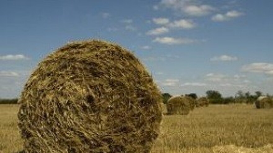 Međunarodni sajam poduzetništva