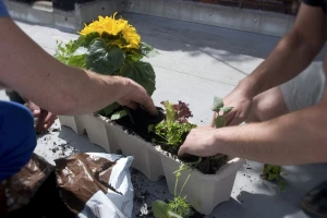 UNDP: Prevencije efekta staklene bašte pametnim upravljanjem bio-otpadom
