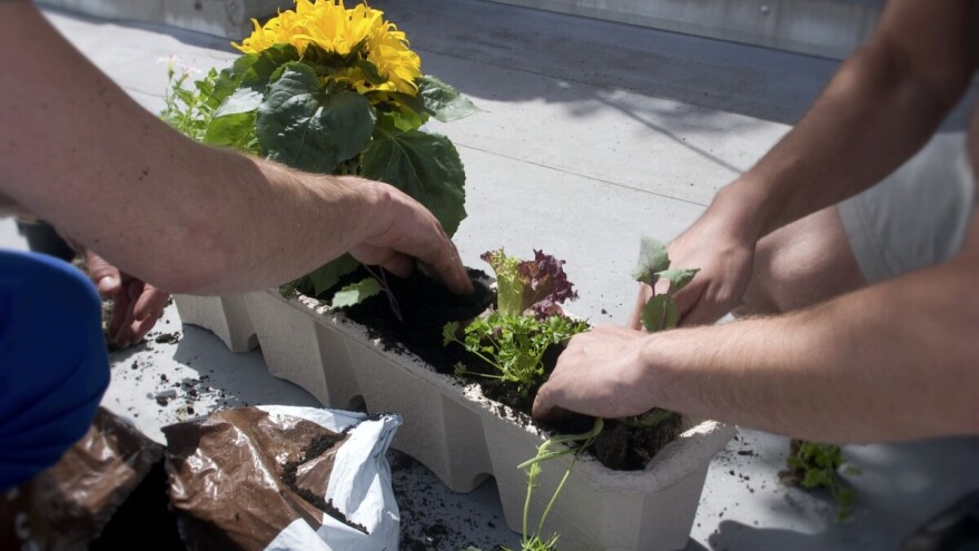 UNDP: Prevencije efekta staklene bašte pametnim upravljanjem bio-otpadom