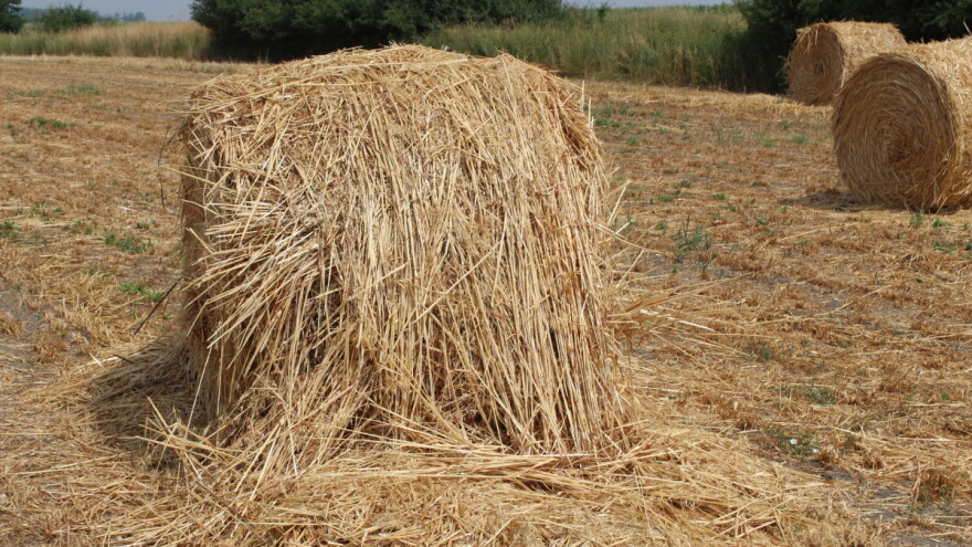 Vučković: U kontroli je 256 ugovora o zakupu državnog poljoprivrednog zemljišta