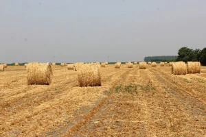 Izmjene Pravilnika o provedbi izravne potpore poljoprivredi i IAKS mjera