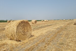 Osam godina u EU: U poljoprivredu uložene 33 milijarde kuna, a proizvodnja manja nego 2012.
