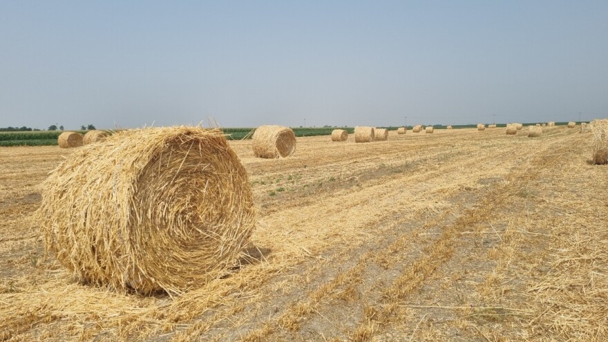 Osam godina u EU: U poljoprivredu uložene 33 milijarde kuna, a proizvodnja manja nego 2012.