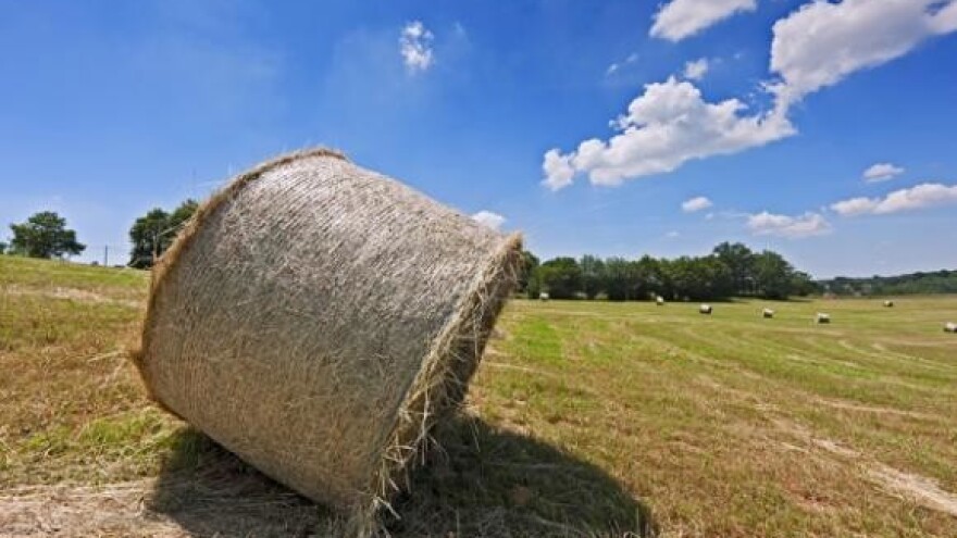 Poljoprivredne potpore u dva dijela