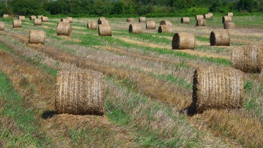 Postepena stabilizacija vremenskih prilika