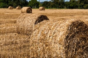 Izgledi za Hrvatsku za 25.07.2014-27.07.2014
