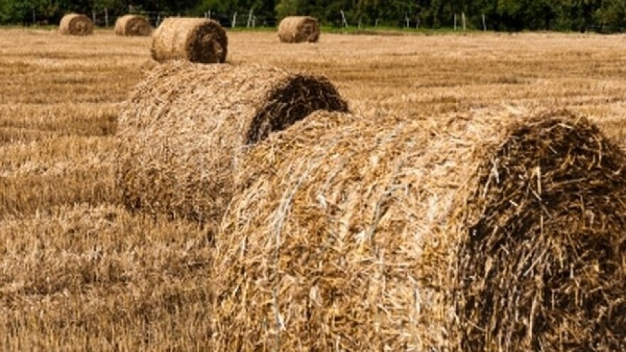 Izgledi za Hrvatsku za 25.07.2014-27.07.2014