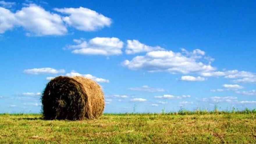 Hrvatski seljaci dobivaju najviše, a proizvodi im nekonkurentni