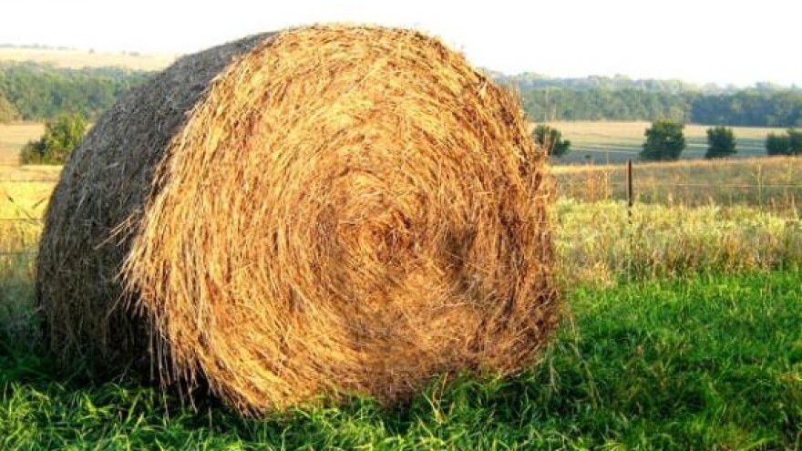 Obvezno članstvo u Poljoprivrednoj komori