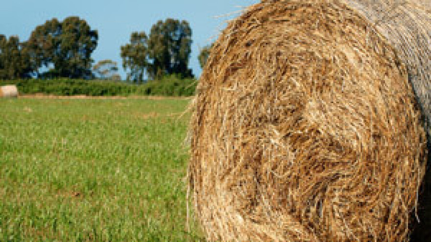 Zahtjev za poticaje koji bi zaposlili 20.000 ljudi?