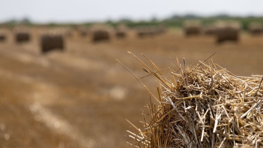 Koliko vrijedi slama?