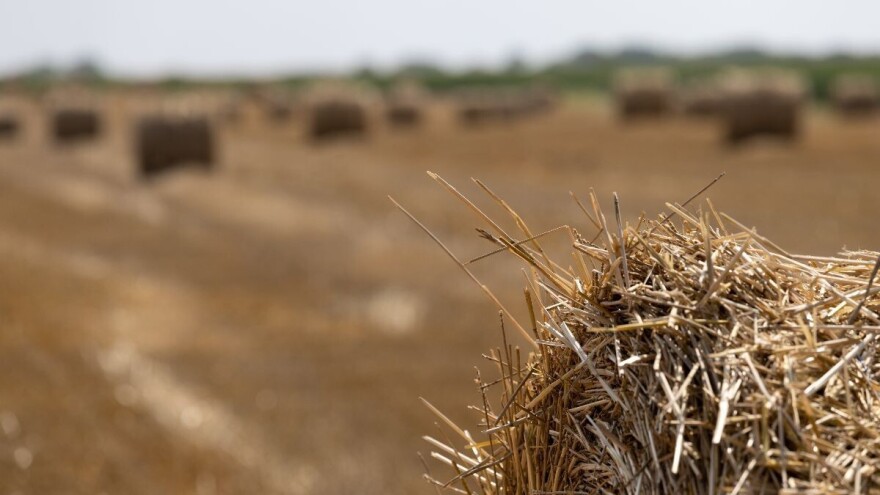 Koliko vrijedi slama?