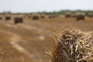 Ratari ogorčeni - tražili potporu, ponuđena im milostinja