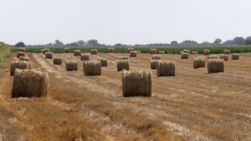 Potpore u ratarstvu: HPK u Ministarstvu traži izmjenu prijedloga mjera pomoći