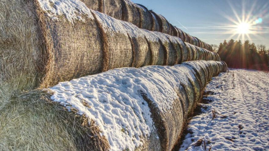 Ujutro mraz i magla, popodne oblačno sa kišom