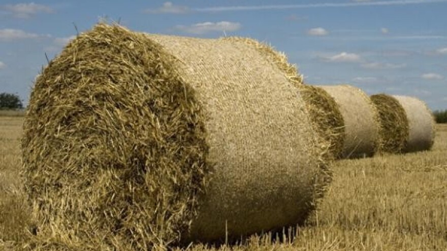 Banke uzimaju poljoprivrednicima do 15% kamate