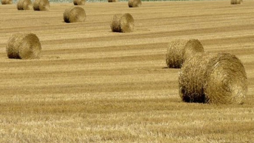 Otvorenje "Vupik poljoprivrednog centra"