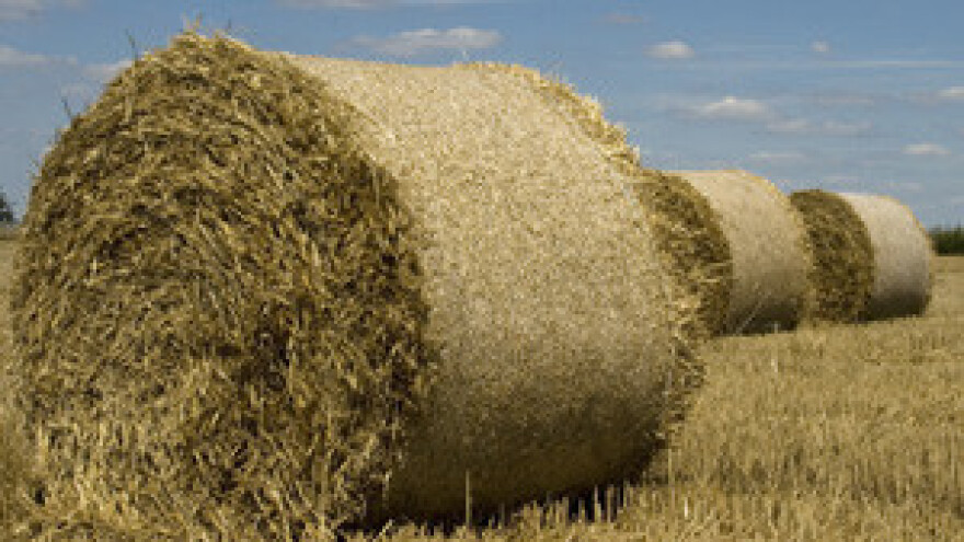 Energiju će proizvoditi od ostataka iz poljoprivredne proizvodnje